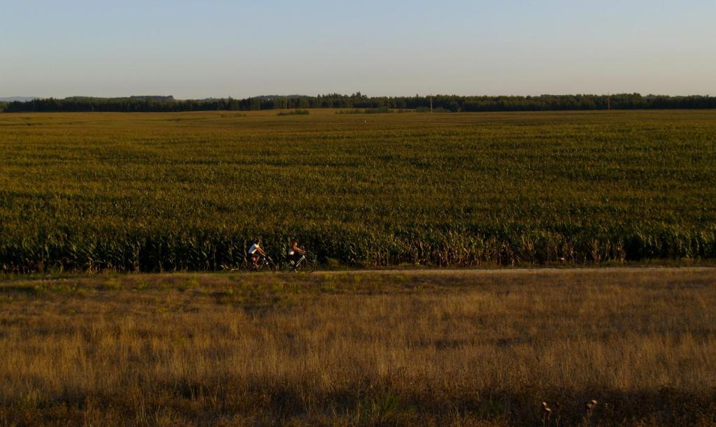 Herdade Do Sardanito Da Frente Zambujeira do Mar Exterior photo